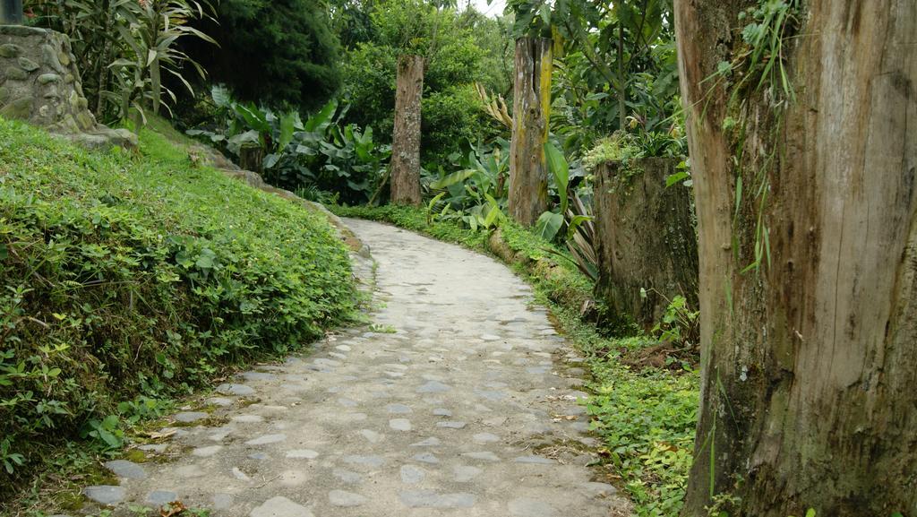 Matisses Hotel & Spa Santa Rosa de Cabal Ngoại thất bức ảnh