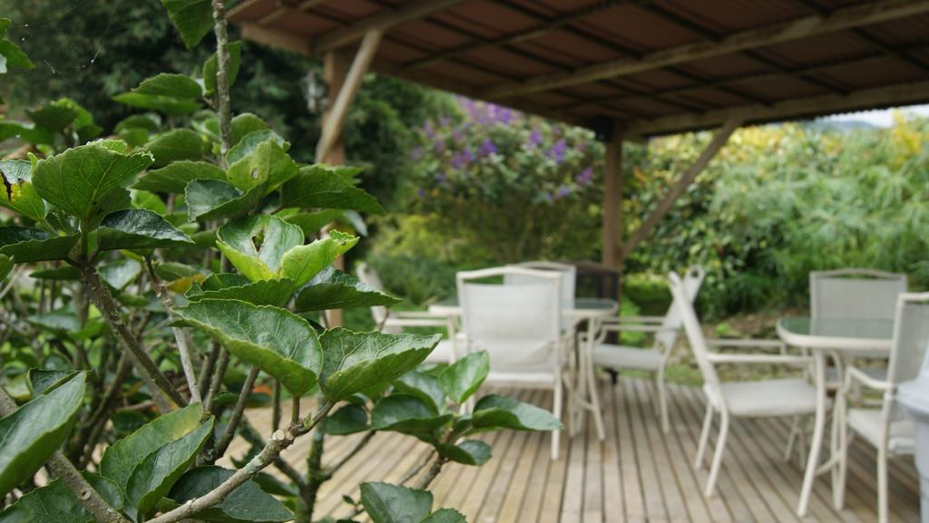 Matisses Hotel & Spa Santa Rosa de Cabal Ngoại thất bức ảnh